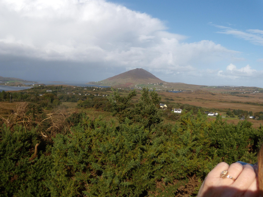 Connemara National Park & Visitor Centre景点图片
