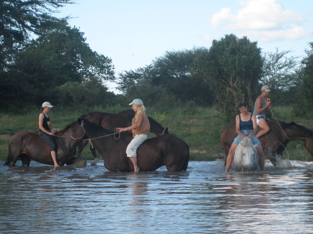 Riding in Hwange-哈拉雷必去景点