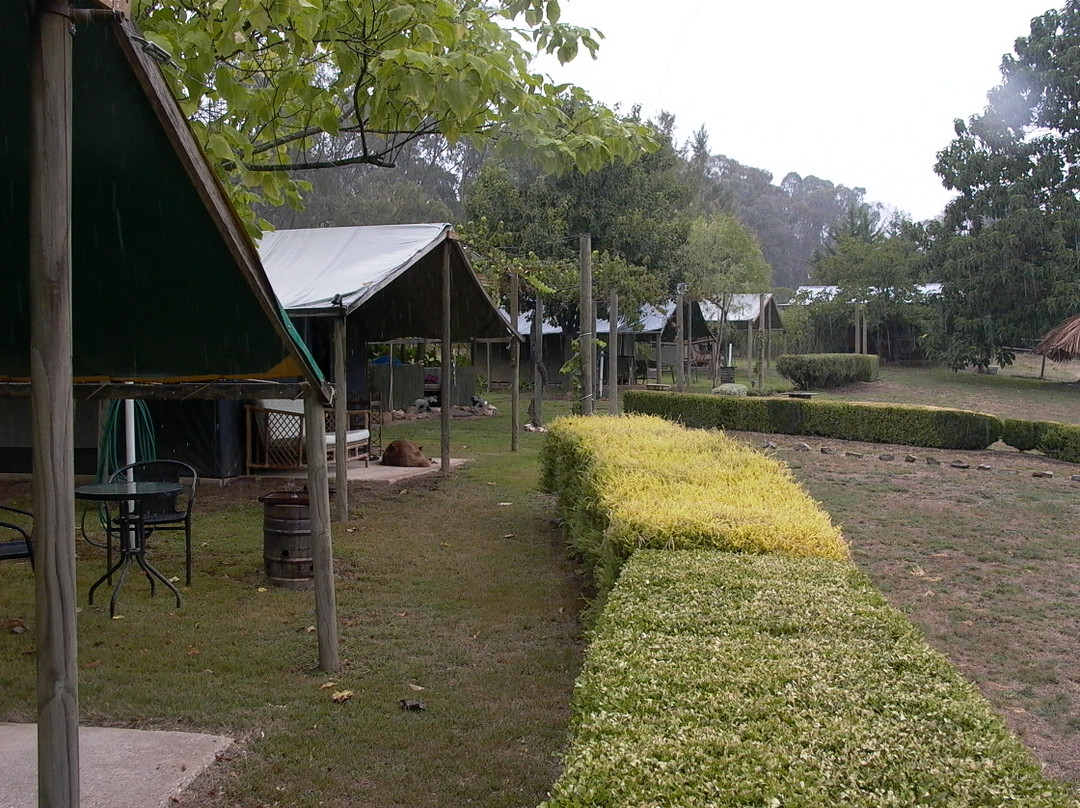 Bharatralia Jungle Camp景点图片