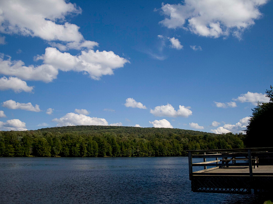 Mongaup Pond Campground