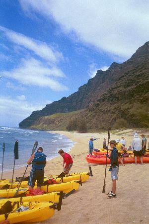 纳帕利海岸州立公园-怀尼哈必去景点