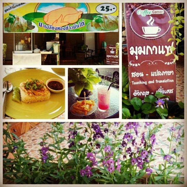 นาเฉลียงทองข้าวมันไก่