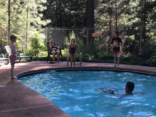 Pinewood Cove Resort主图