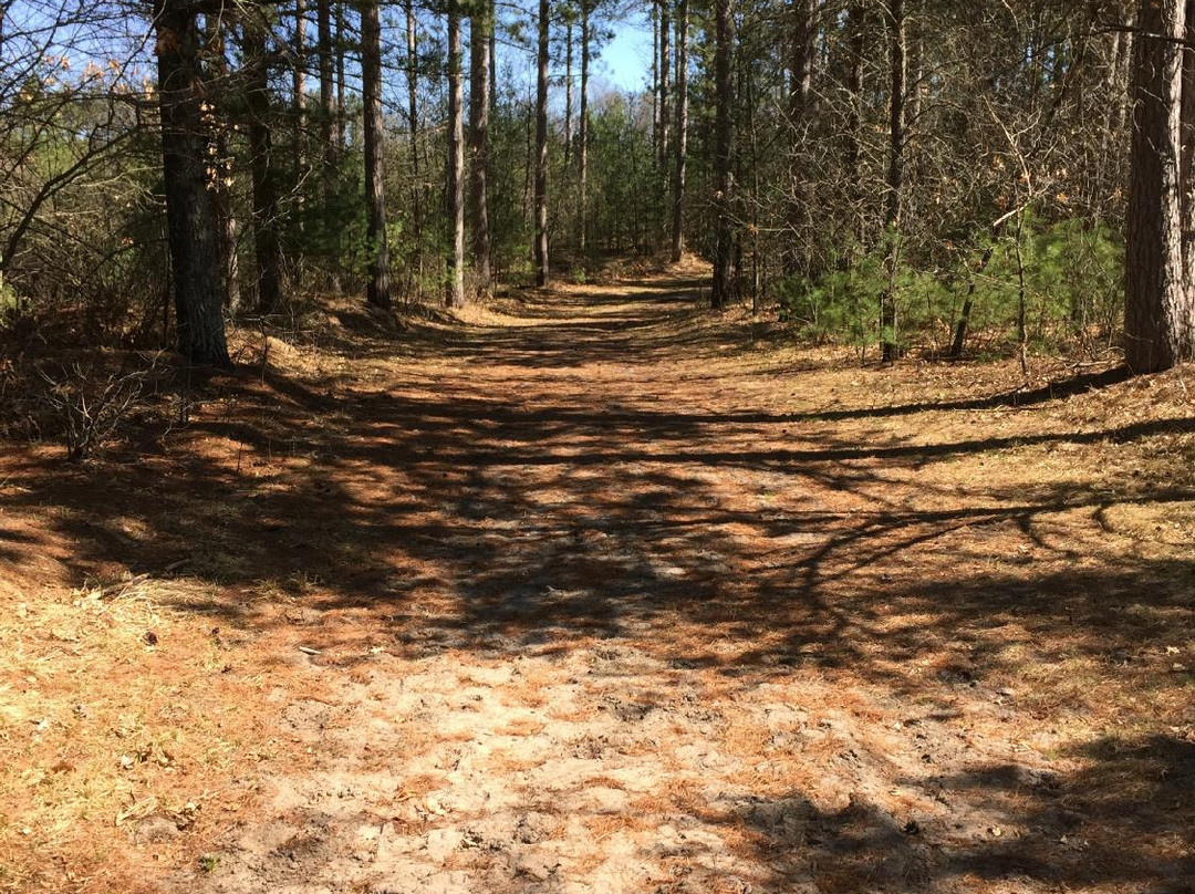 Tower Ridge Recreational Area