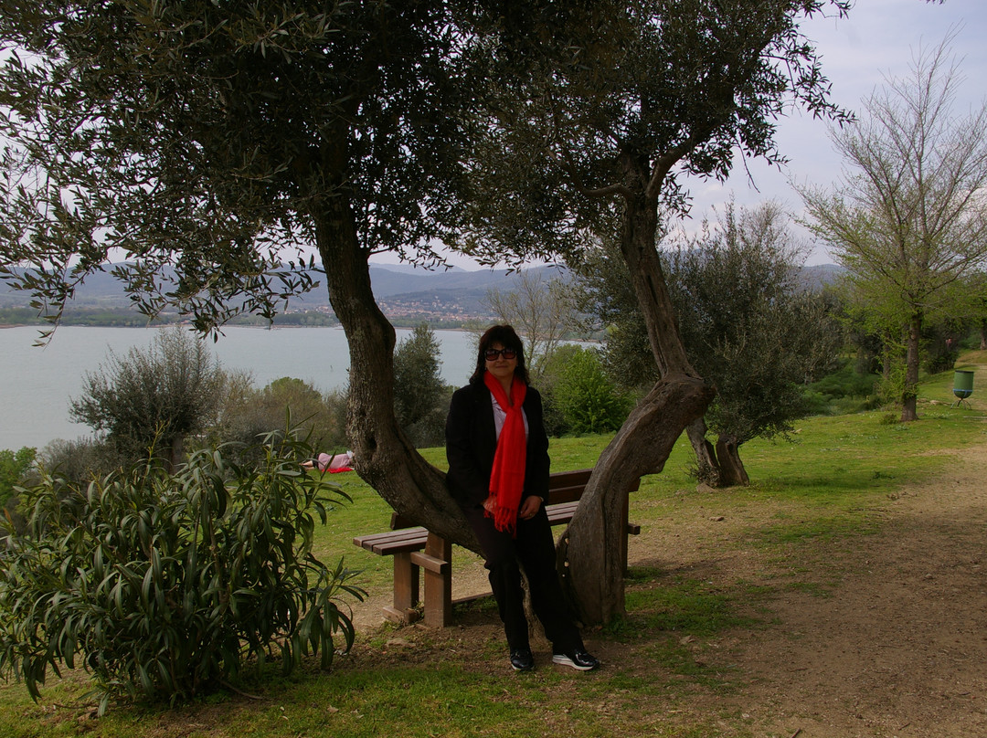 Lago Trasimeno-佩鲁贾必去景点
