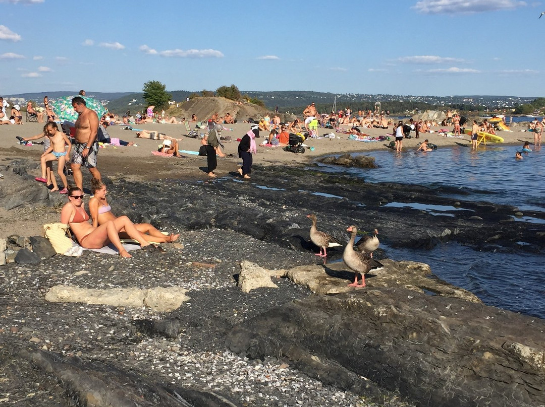 Huk-奥斯陆必去景点