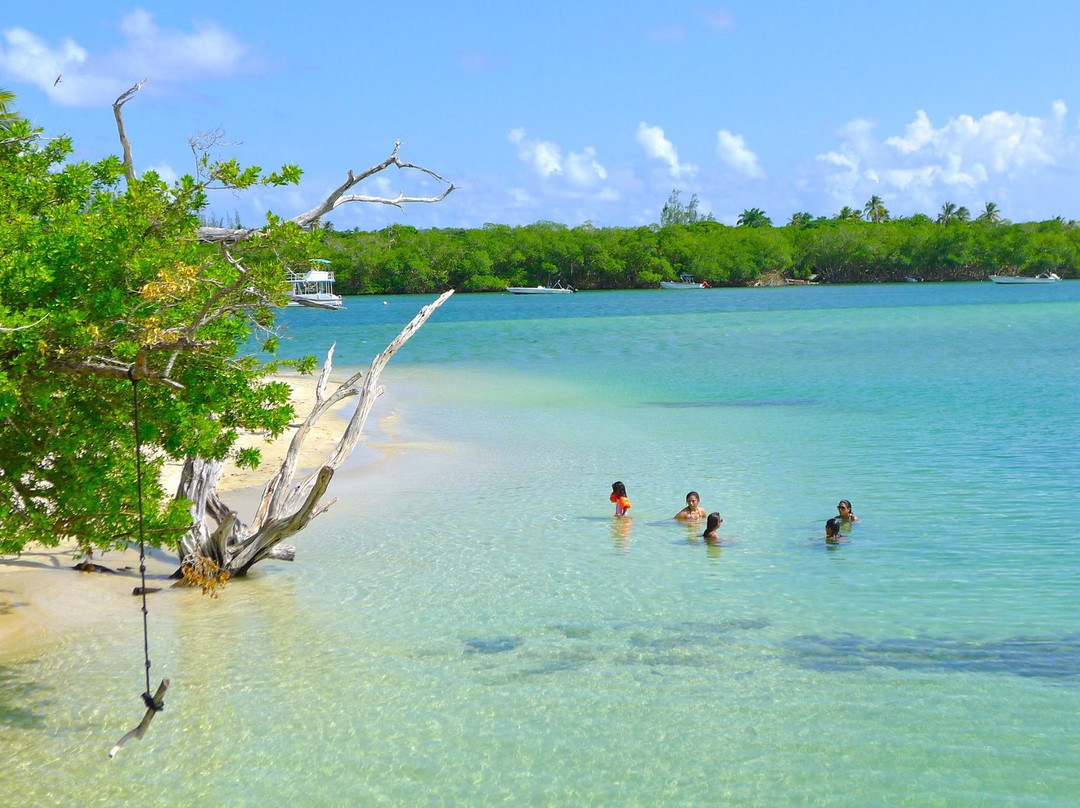 Tour Tobago-克朗波因特必去景点