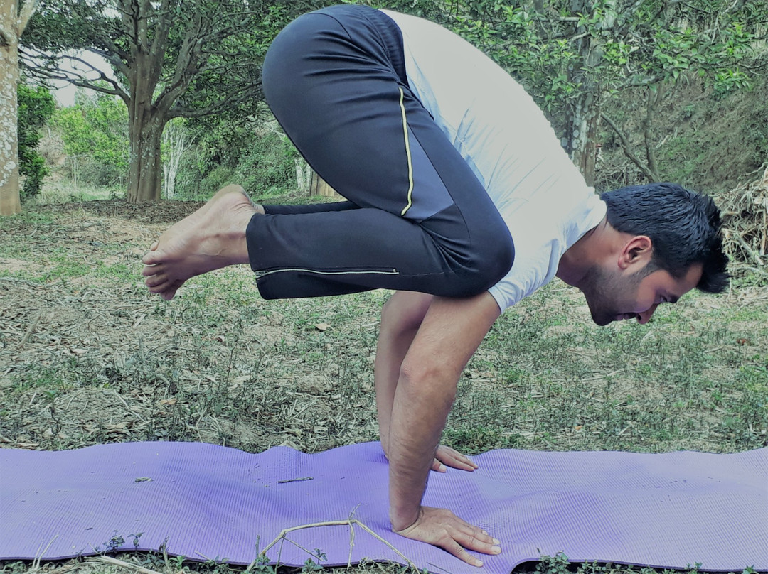 Sambodhi Yoga Home