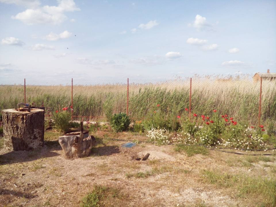 Azov Pension