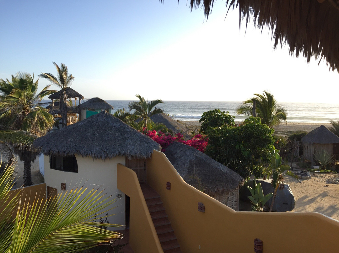 Las Palmas Tropicales