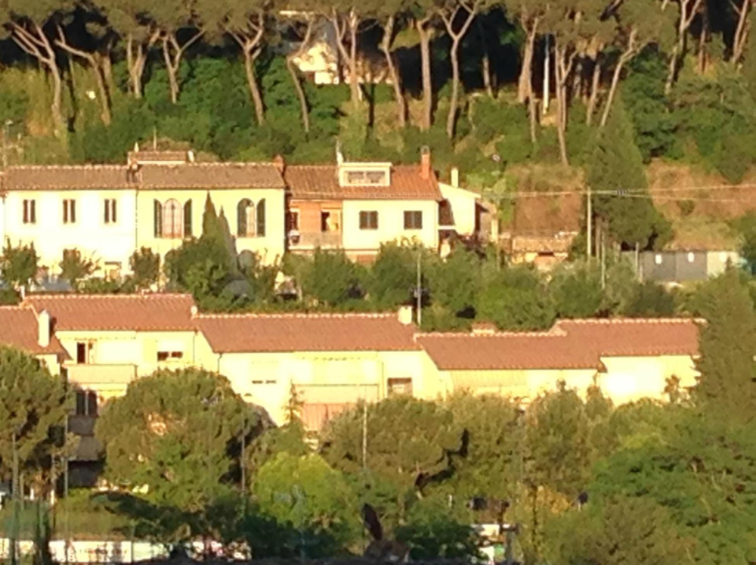 Il Pruneto