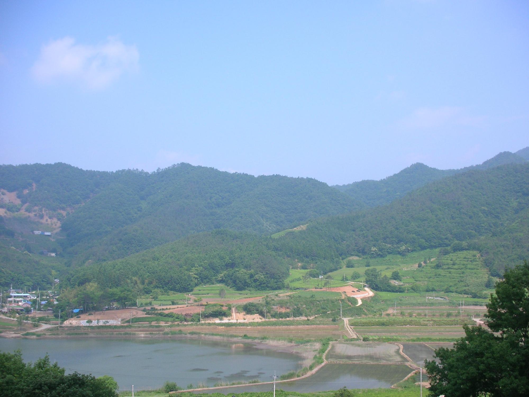 Dahyang Motel-酒店景观