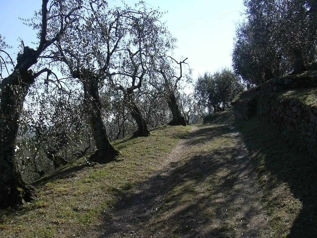 Podere Le Catastine I