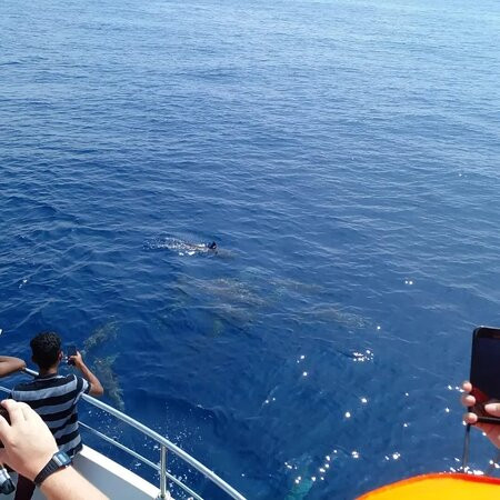 ECO TAXI Ella-埃勒必去景点