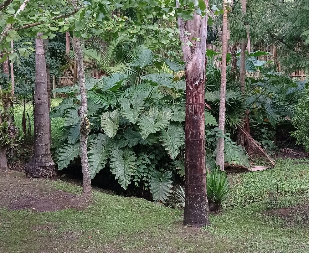 Atelier Eduardo Miguel Pardo-圣安东尼奥杜皮尼亚尔必去景点