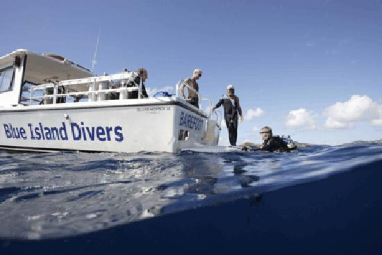 Blue Island DIvers-圣 托马斯必去景点