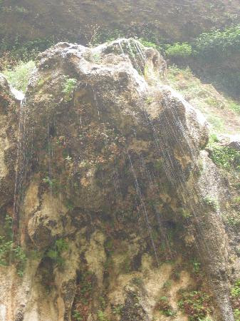 Weeping Rock Trail-锡安国家公园必去景点