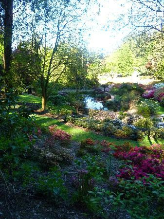 Dandenong Ranges Botanic Garden-奥林达必去景点