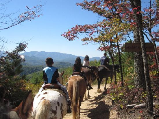 Next to Heaven Adventure-汤森必去景点