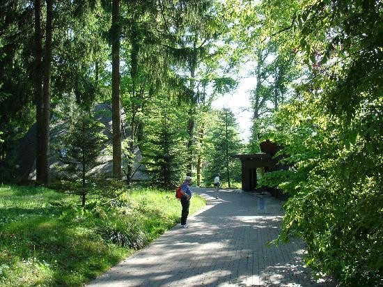 Botanischer Garten-Grüningen必去景点