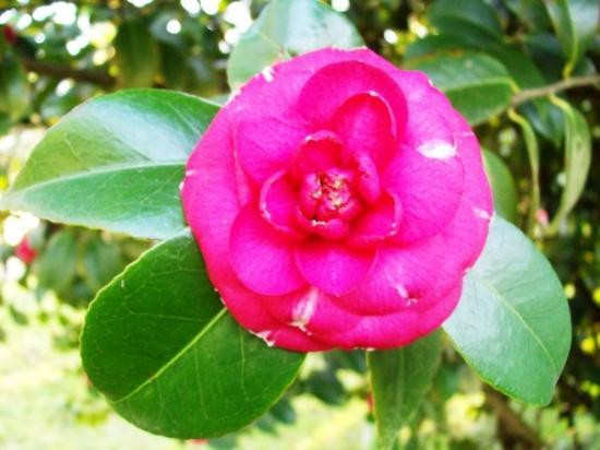 Oregon State University-科瓦利斯必去景点