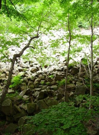 Sleeping Giant State Park景点图片