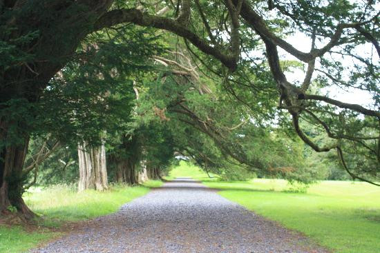 Loughcrew Gardens-Oldcastle必去景点