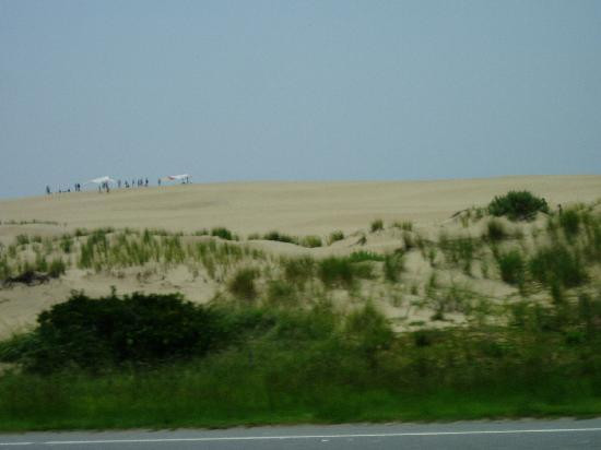 Jockey's Ridge State Park景点图片