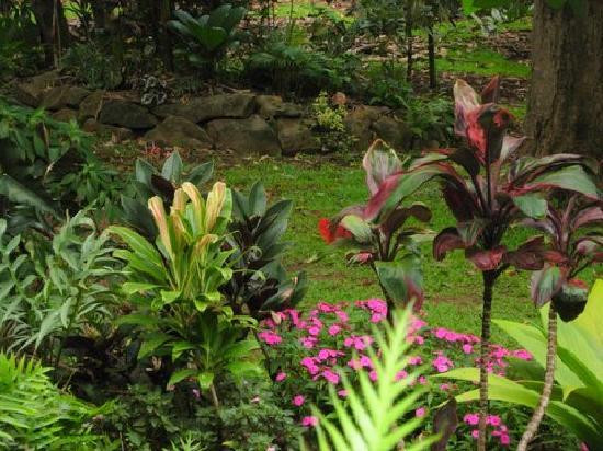 Princeville Botanical Gardens-普林斯维尔必去景点