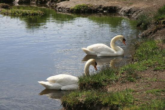 Cline Falls State Park-雷德蒙德必去景点