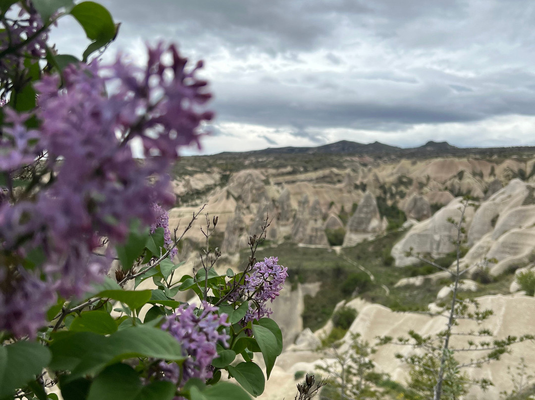 ADVICE 50 TOUR-格雷梅必去景点