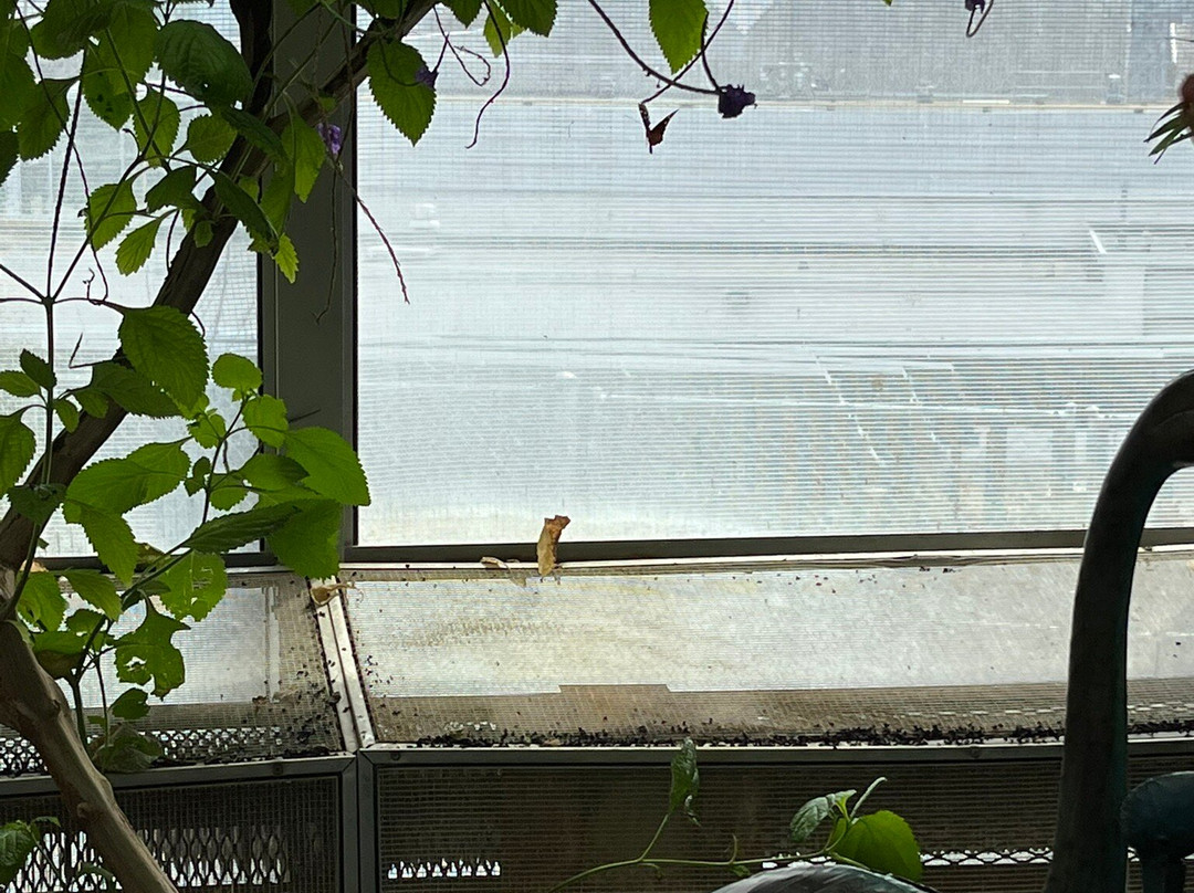 Science North-Sudbury必去景点