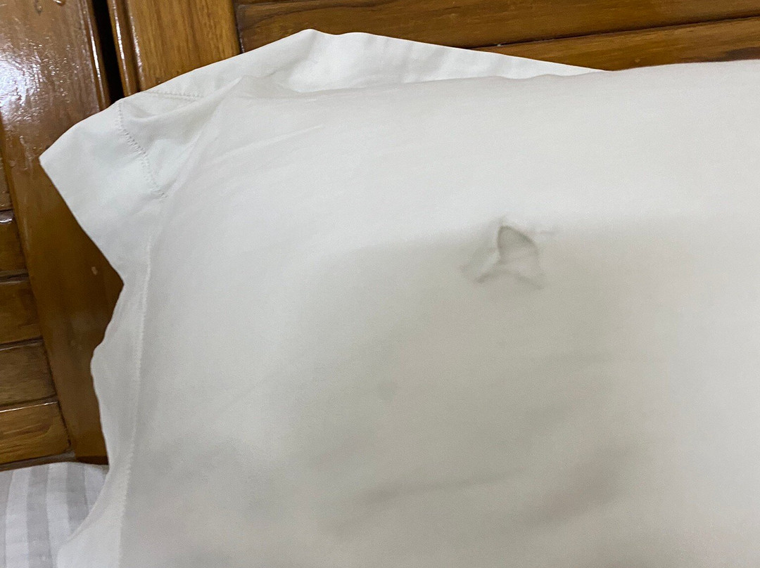 Forest Rest House Dudhwa主图