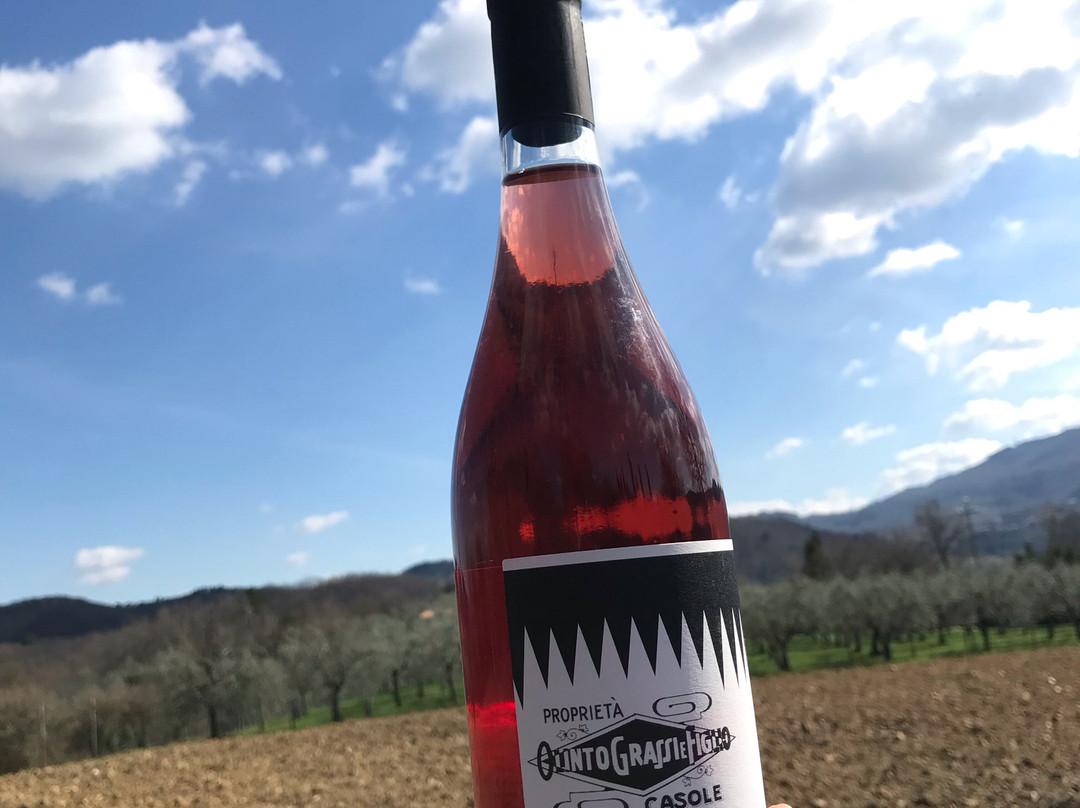 Castello di Lamole主图