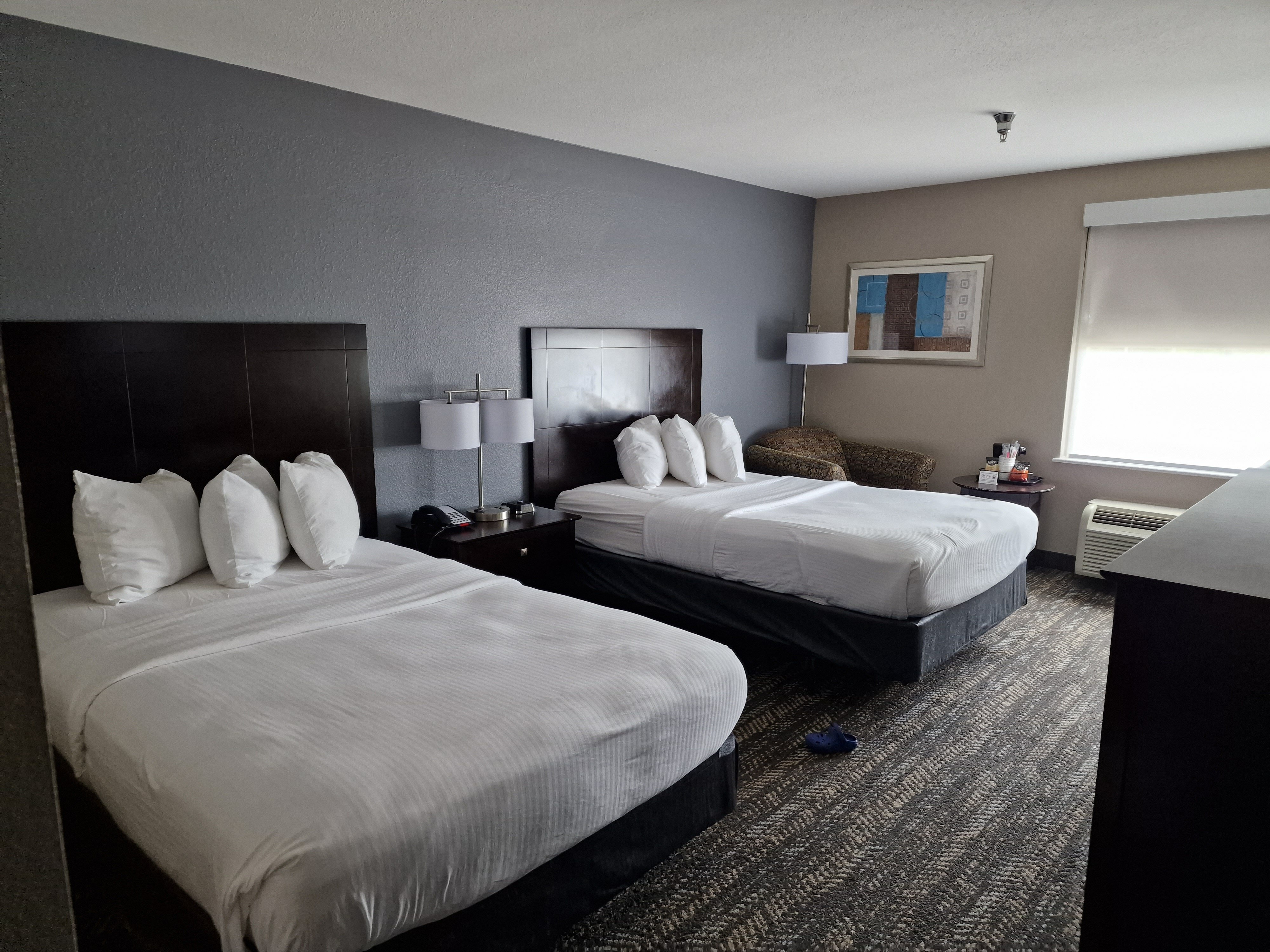Best Western Natchitoches Inn-客卧