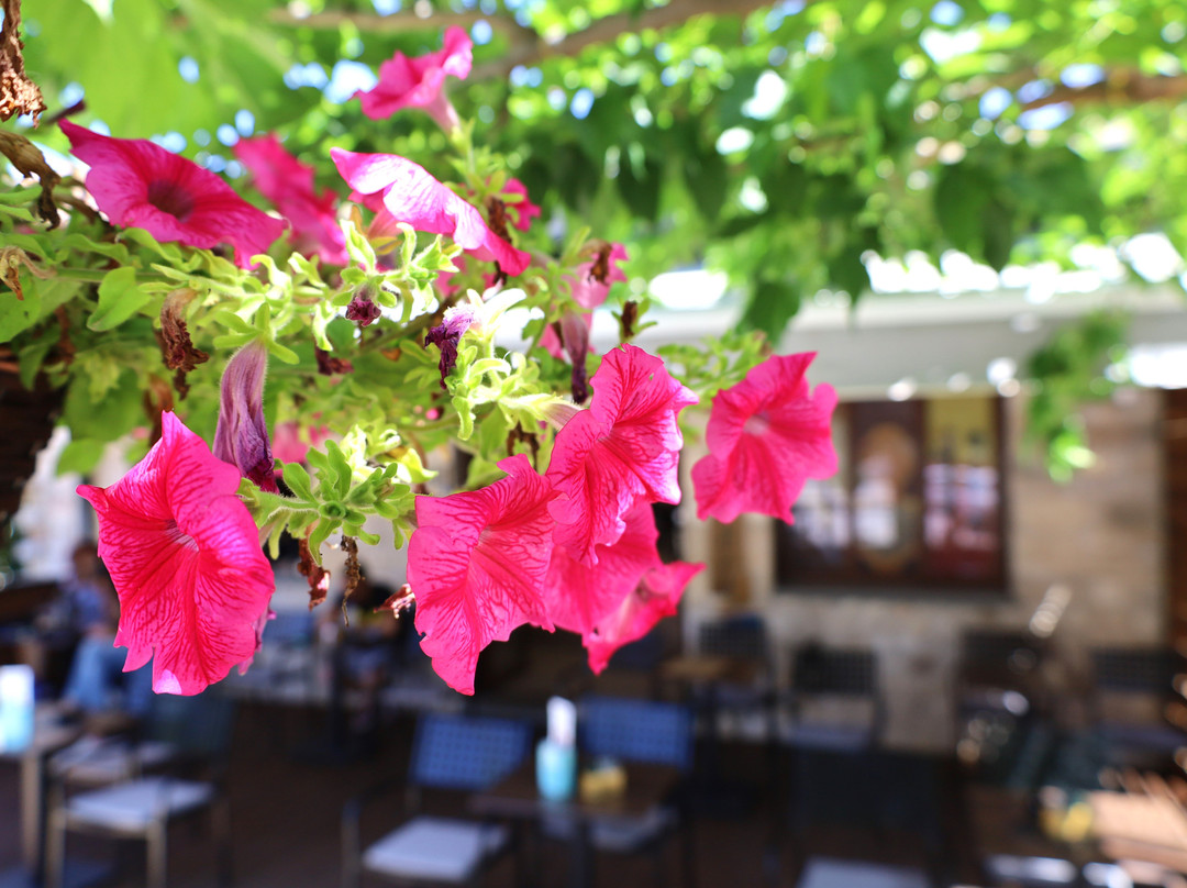 Almond Cafe
