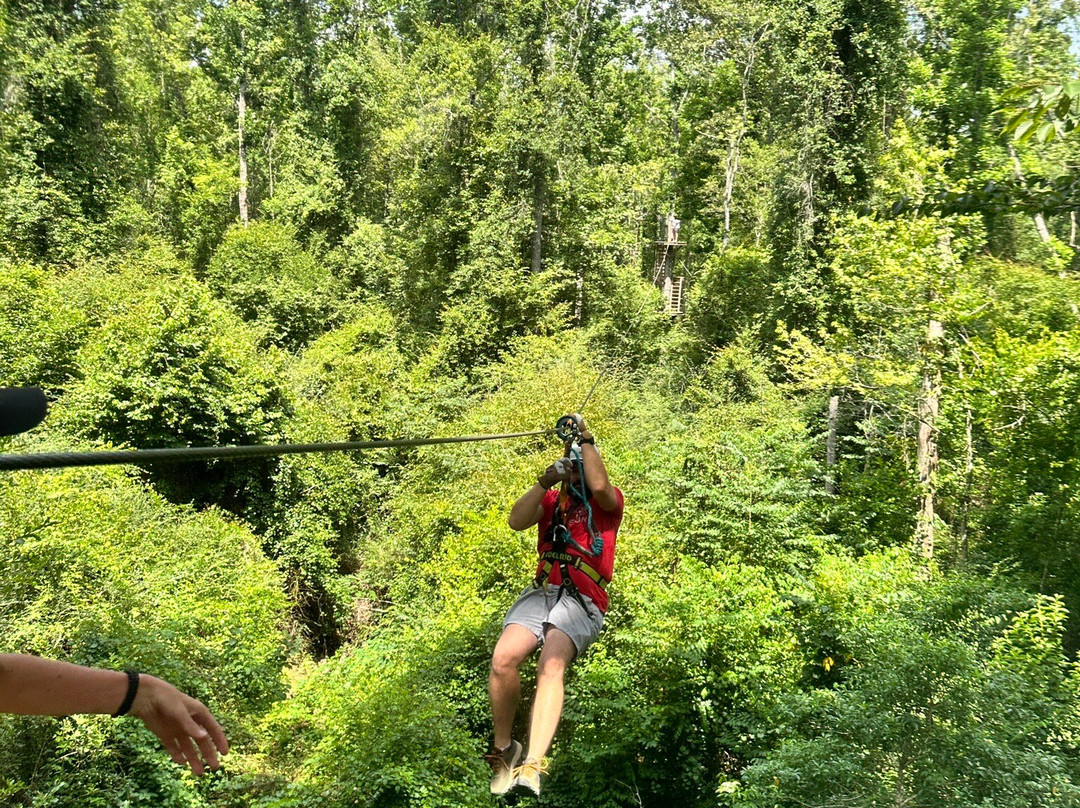 Magnolia Ridge Adventure Park景点图片