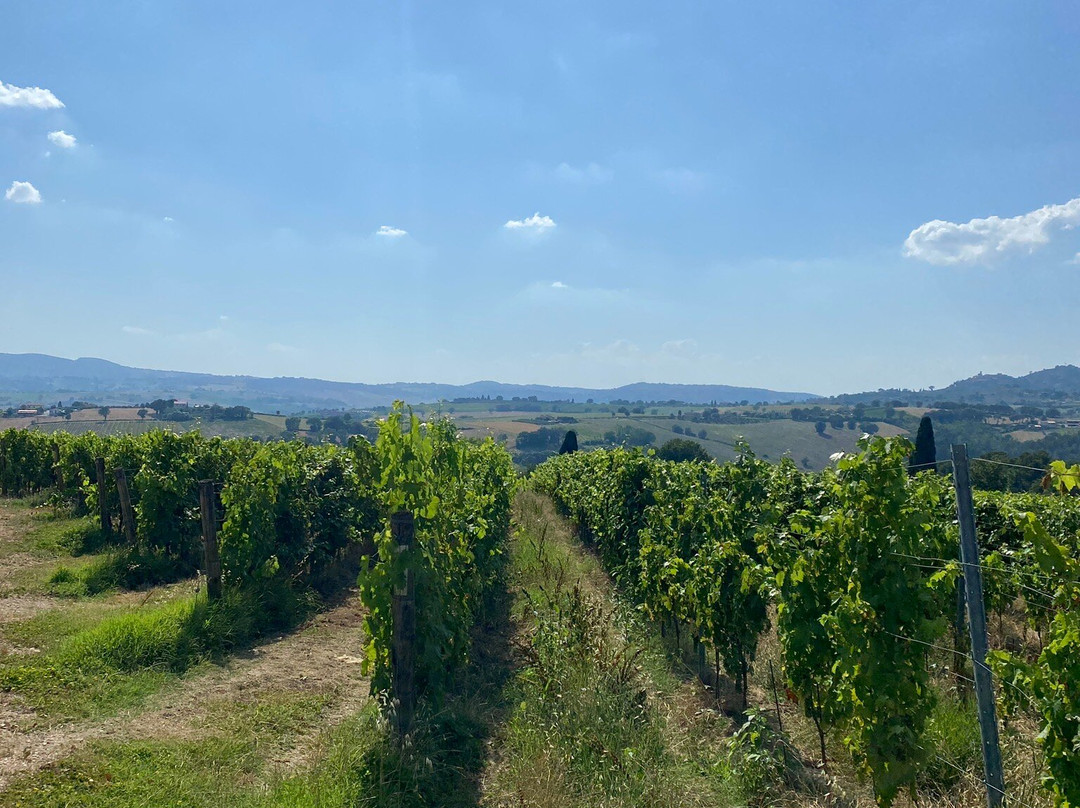Antonelli San Marco-Montefalco必去景点
