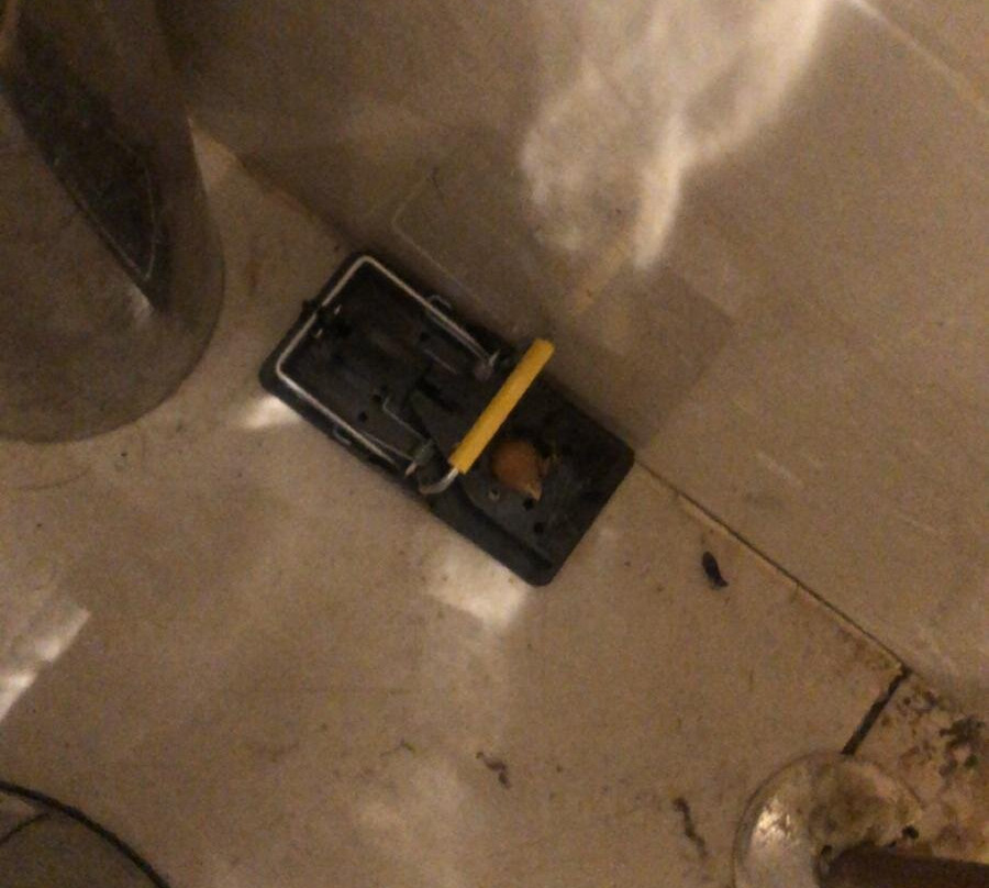 The Marlborough hotel主图