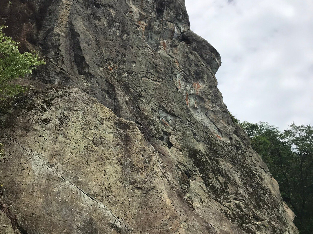 Sanuki Kannon-盐谷町必去景点