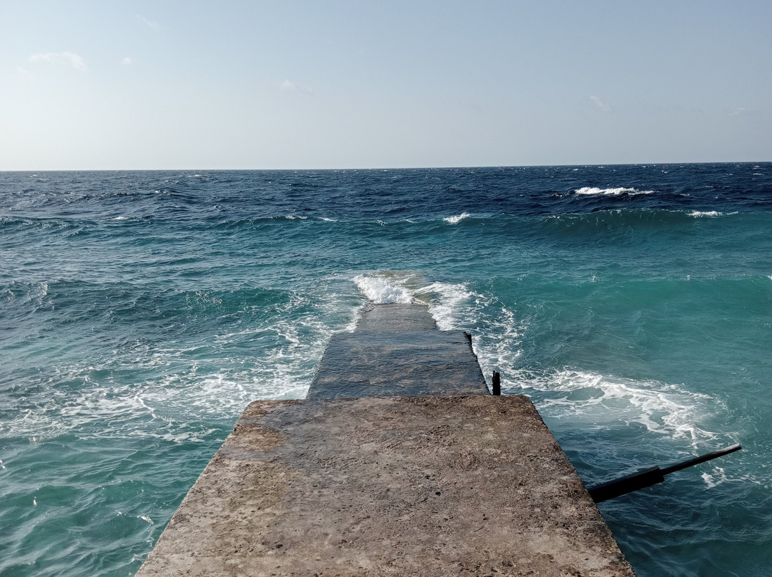 Virgin Cocoa - Tropical Hideaway Island主图