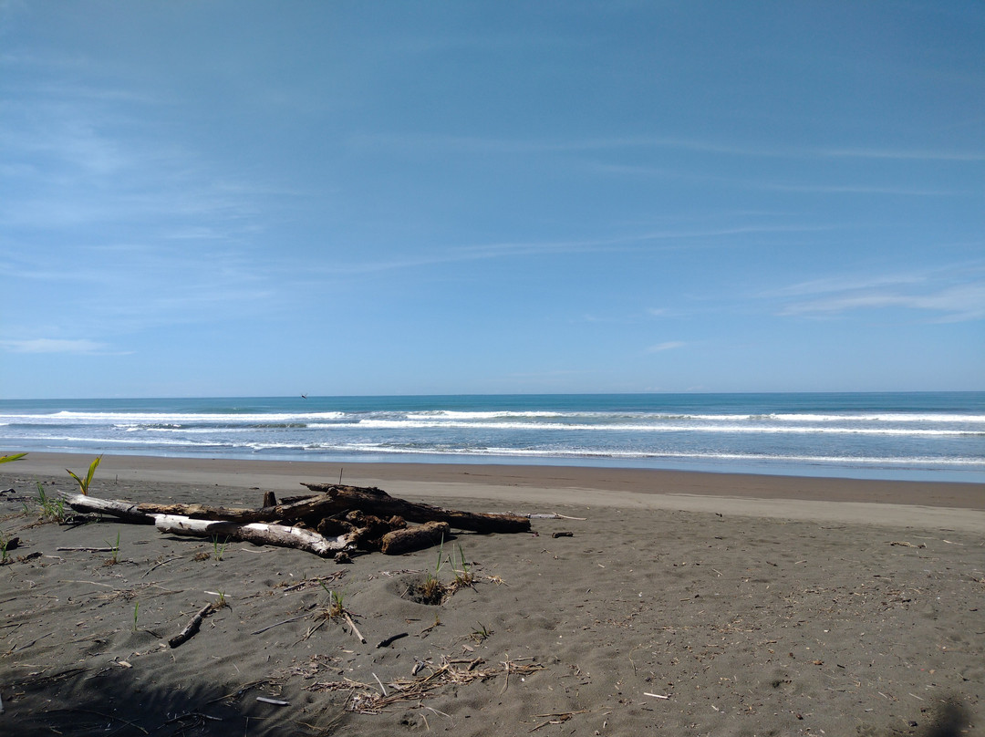 Cocomar Beachfront Hotel主图