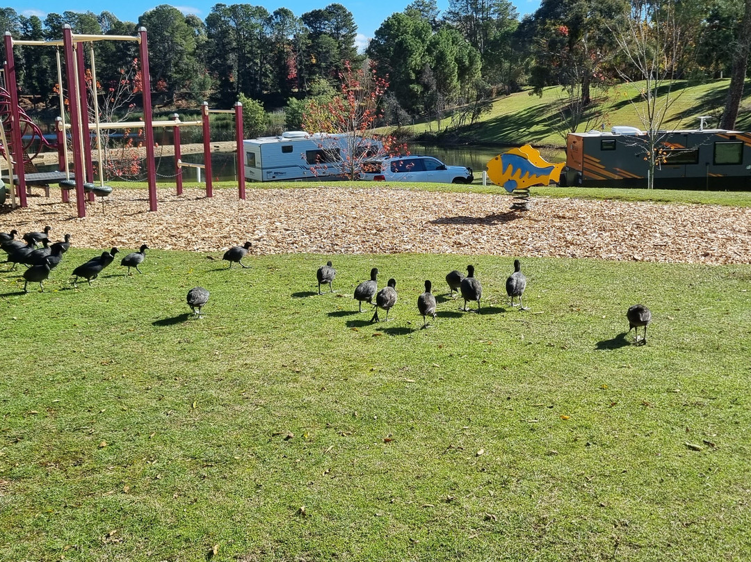 Lake Sambell Reserve-比奇沃思必去景点