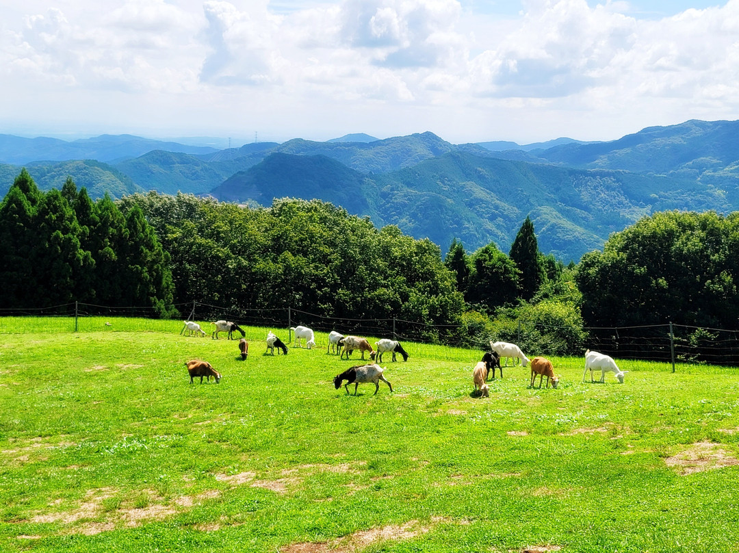 Chichibu Kogen Farm-东秩父村必去景点