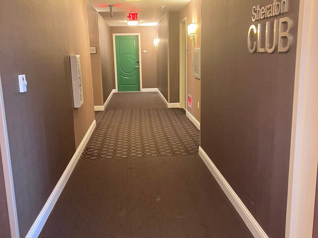 Sheraton McKinney Hotel主图