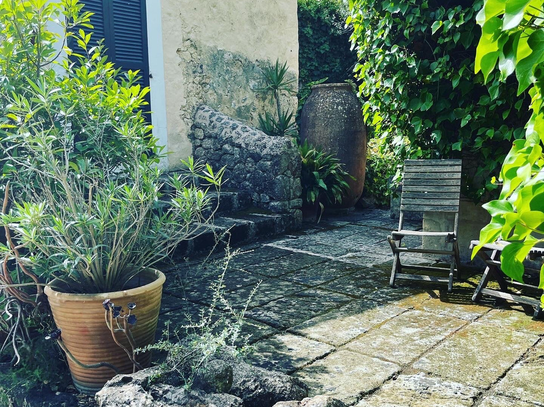 Refugio Son Pons主图