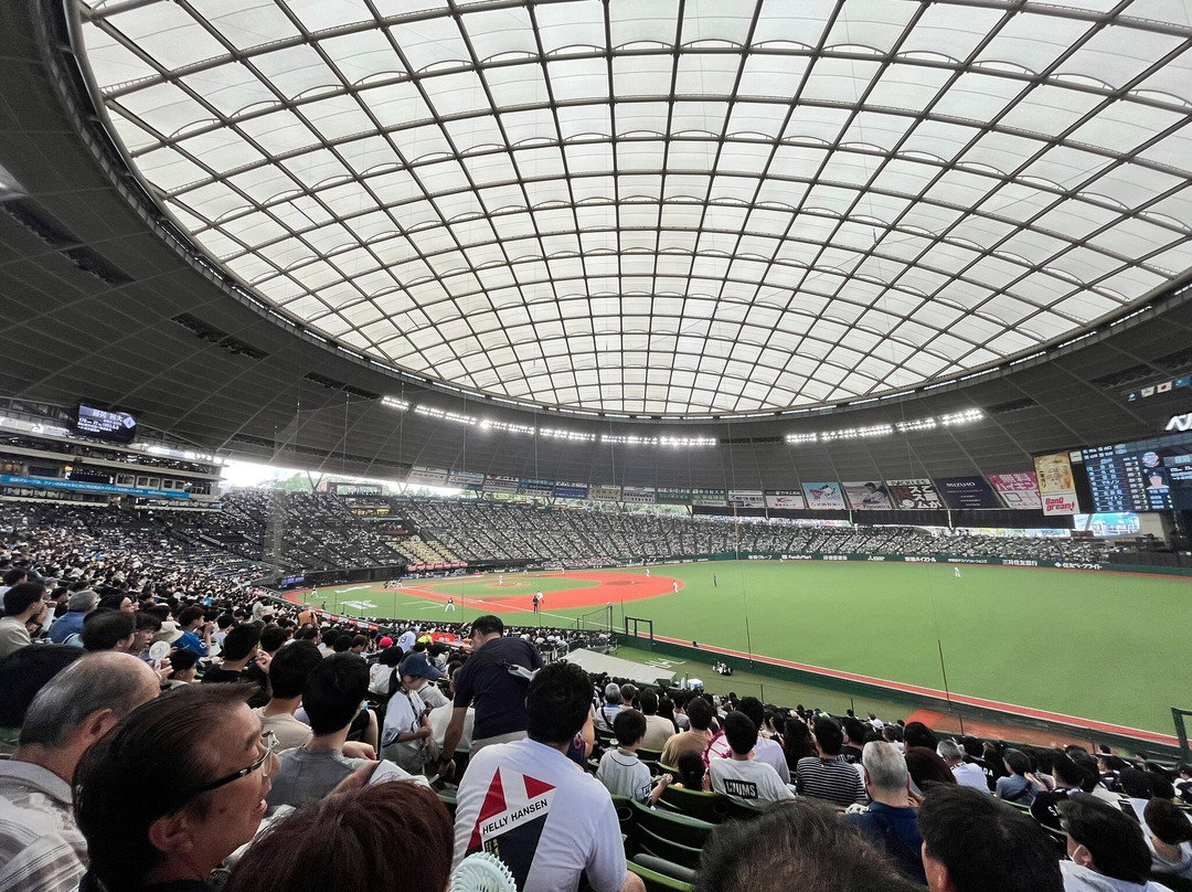 MetLife Dome-所泽市必去景点