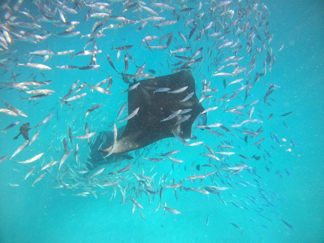 Dive Butler Finolhu-Kanufushi必去景点