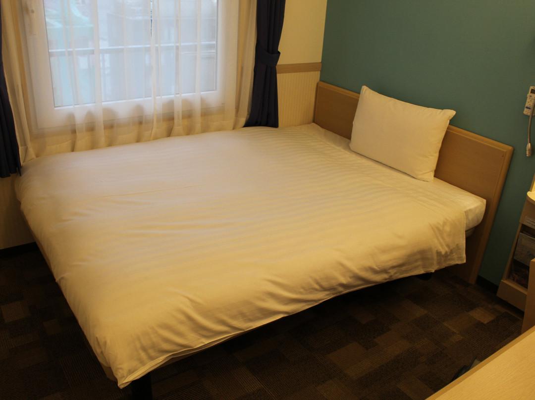 Toyoko Inn Matsudo-eki Higashi-guchi主图