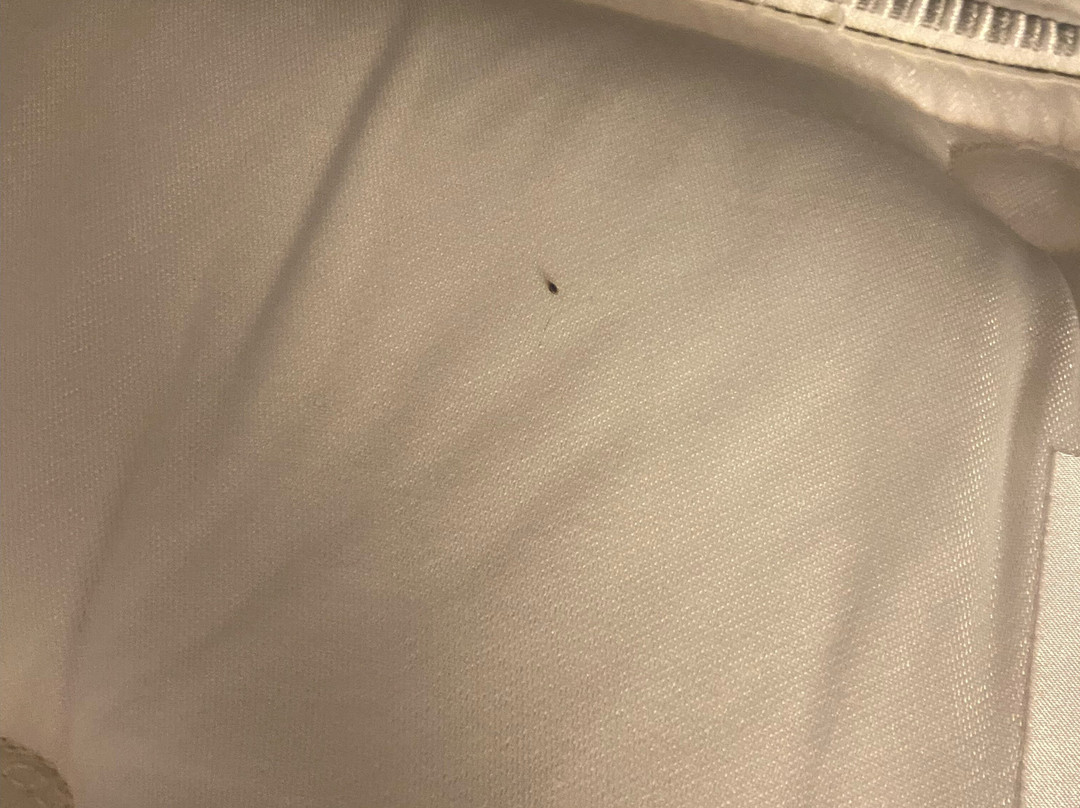 Hampton Inn Pontiac主图